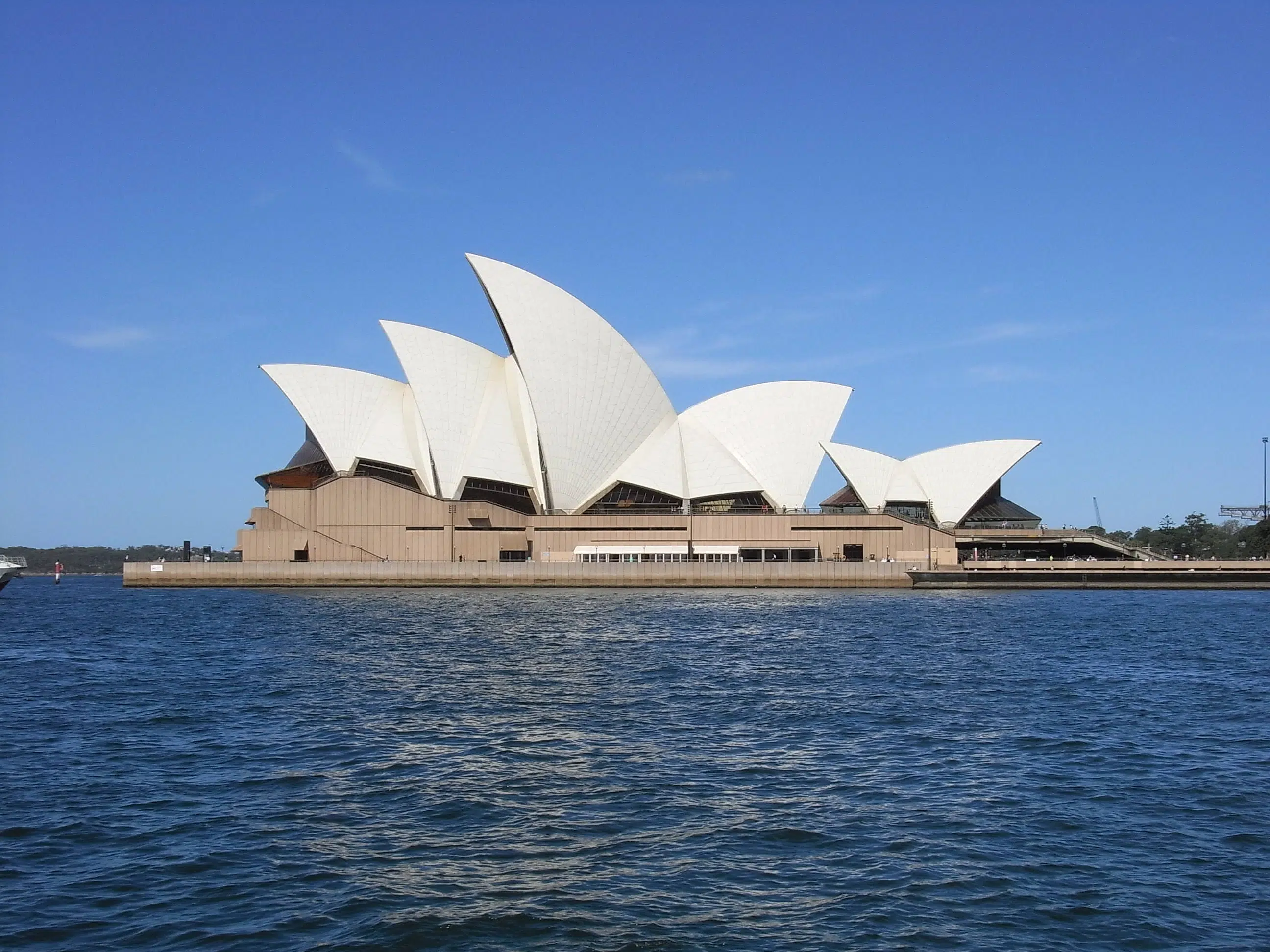 Nagez avec les requins à Sydney