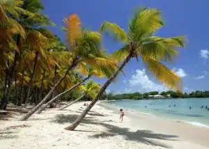 martinique plage des salines Fotolia picpic