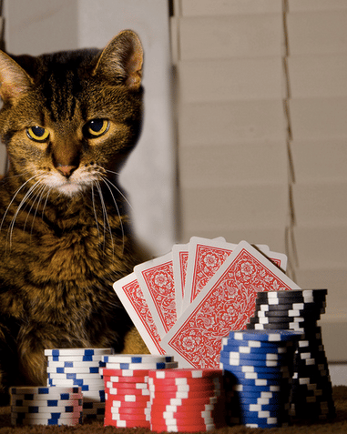 devenir meilleur au poker
