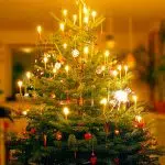 noel original