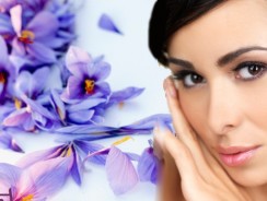 La fleur de safran, le secret pour rester éternellement jeune